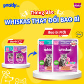 Pate Whiskas Junior Cho Mèo Con 80g